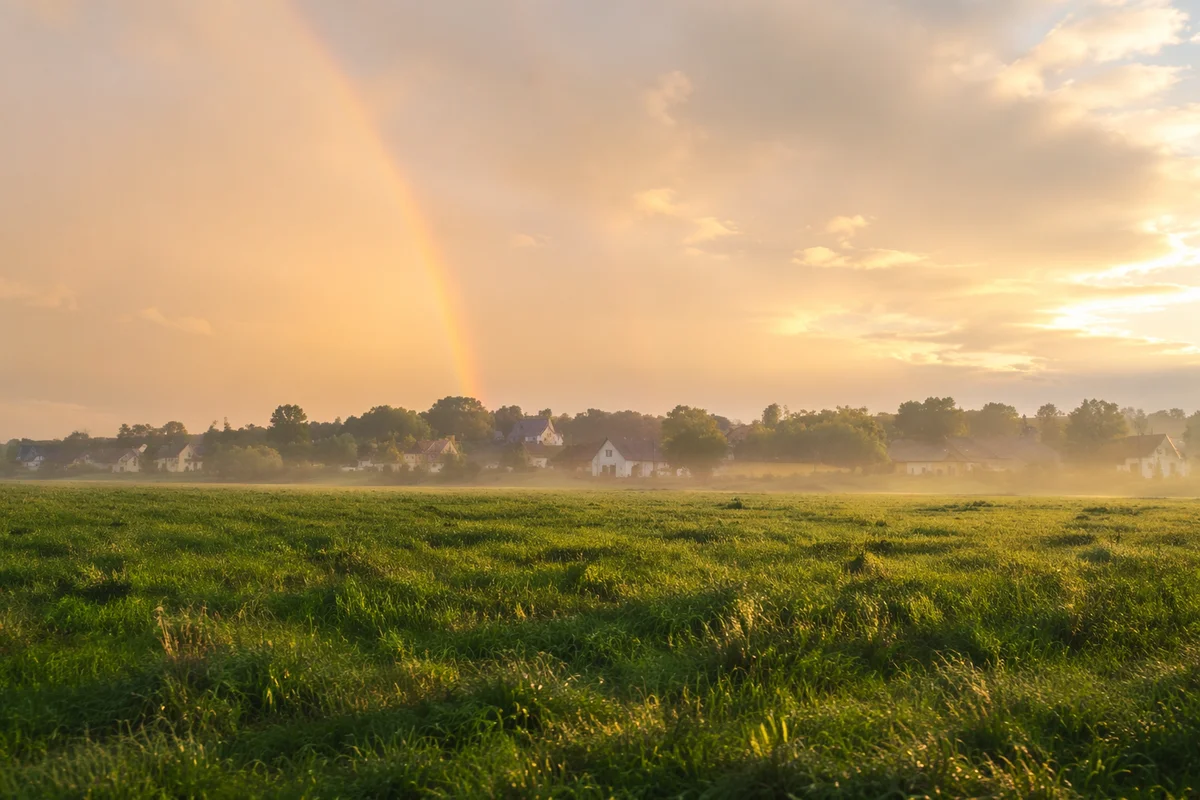 Soft Rainbow Over Green Field