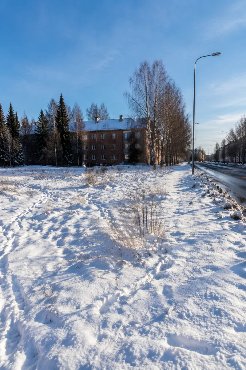 Quiet Snowy Suburban Winter Landscape