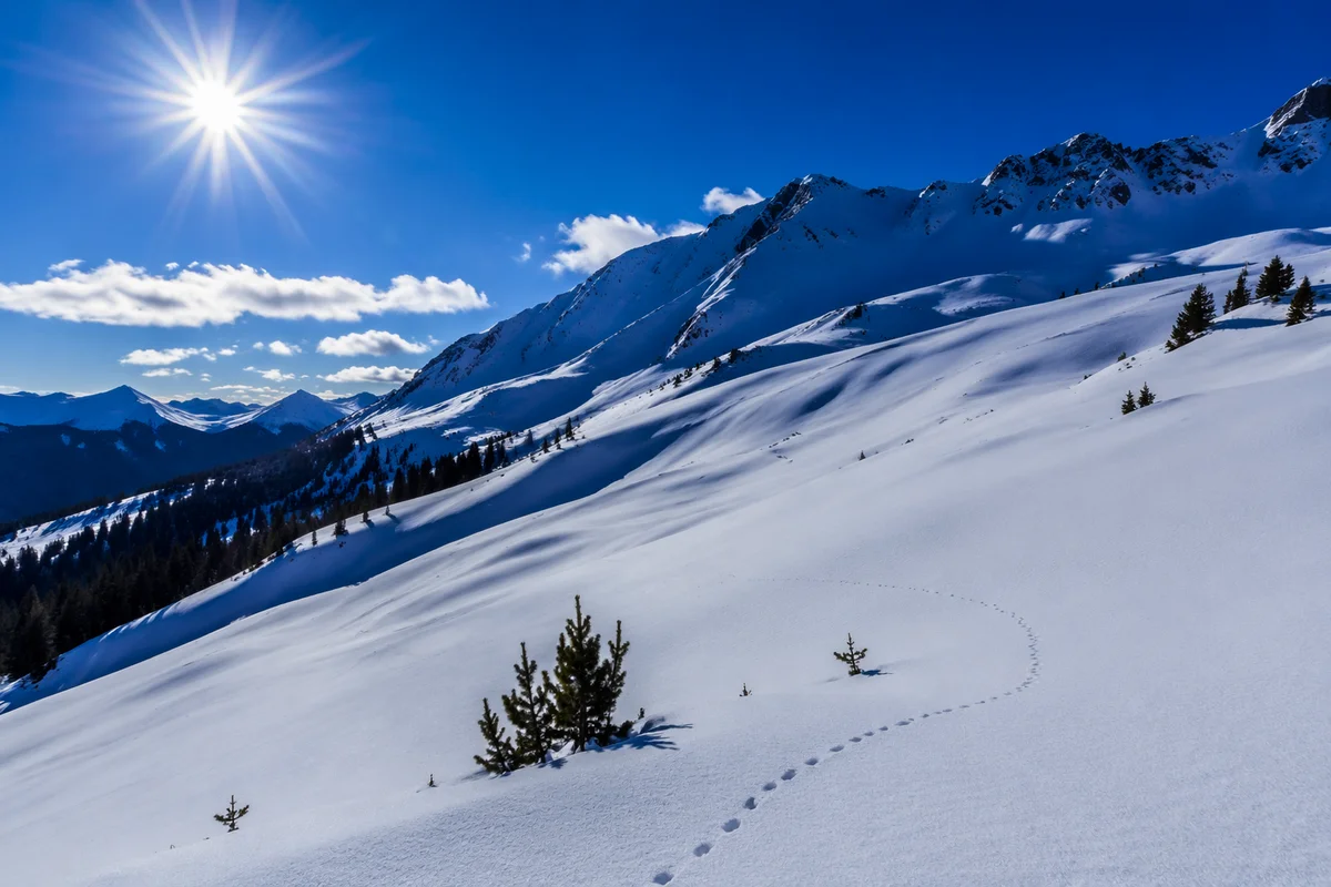 Reverent Alpine Snowfield Under Winter Sun