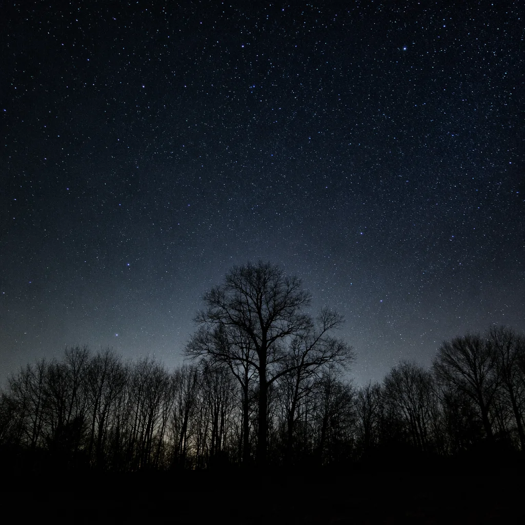Starry Night Sky Above Quiet Woodland