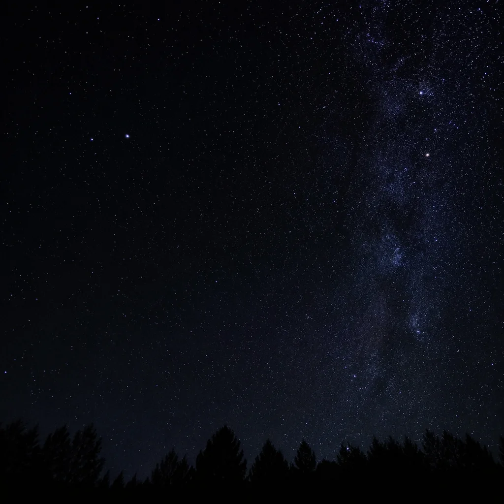 Moonless Starry Night Over Quiet Treeline