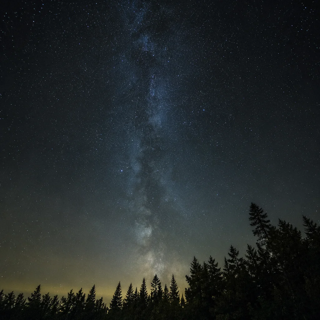 Starry Night Sky Over Quiet Forest