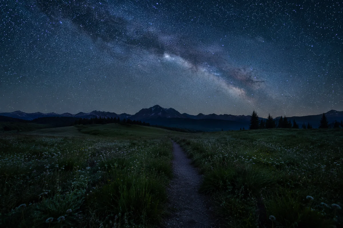 Starry Night Sky Over Alpine Meadow