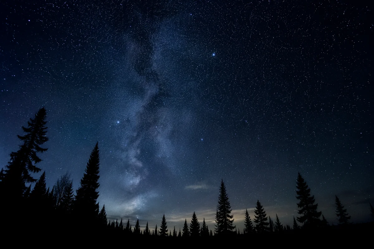 Starry Night Sky Over Quiet Pine Forest