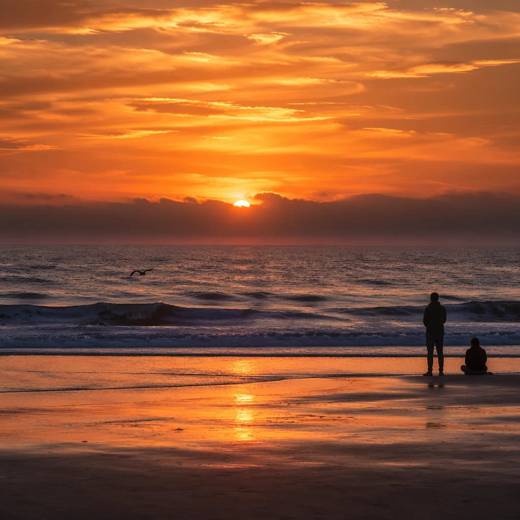 Golden Ocean Sunset with Quiet Silhouettes
