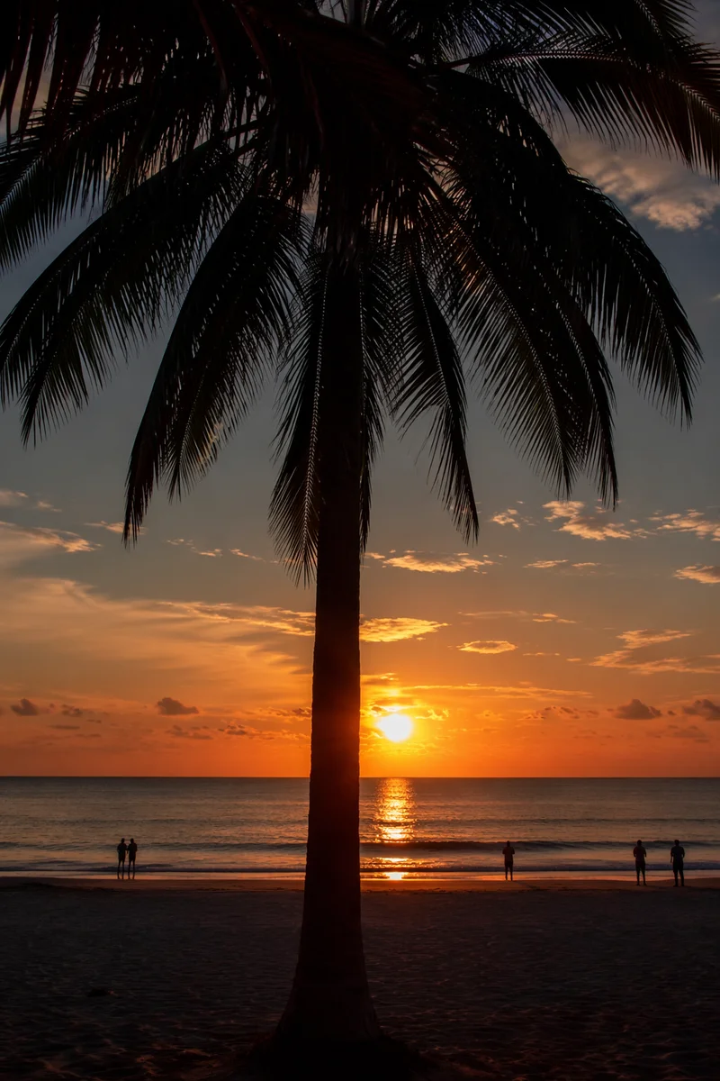 Golden Sunset Ocean Horizon Beneath Palm