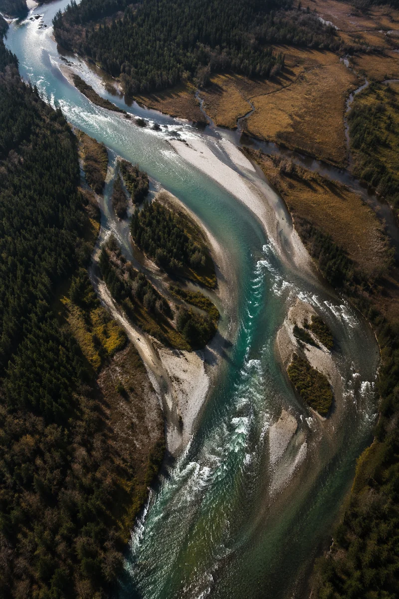 Clear Braided River Through Untouched Wilderness
