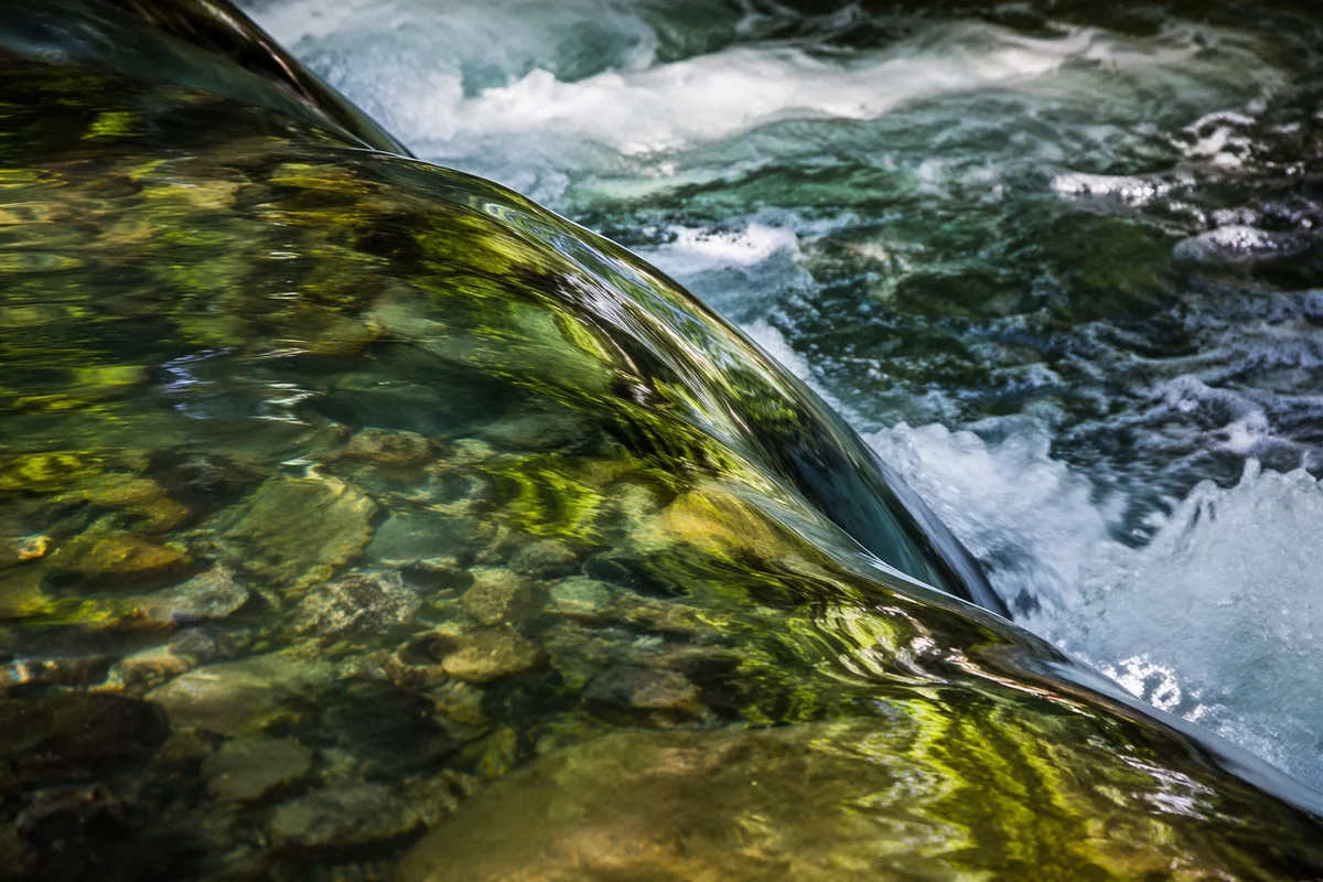 Clear Mountain Stream with Forest Reflections