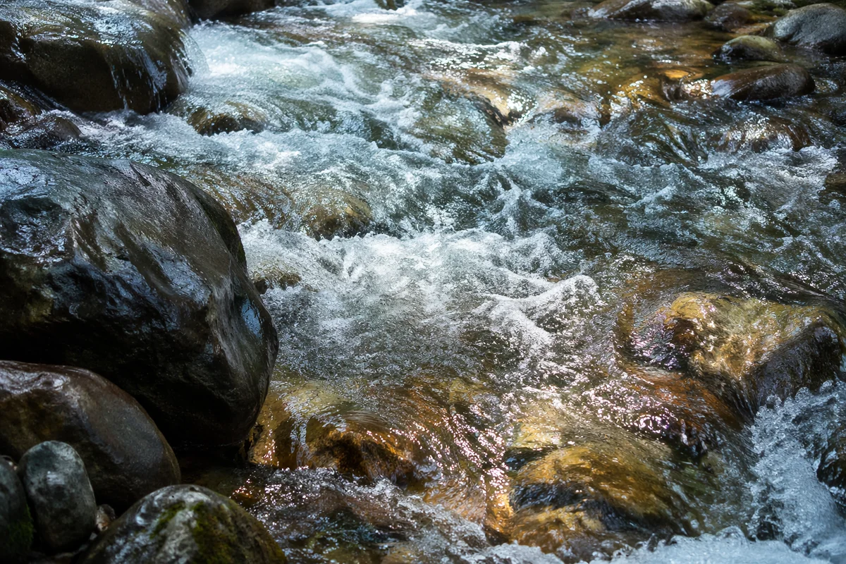 Clear Mountain Stream Over Smooth River Stones
