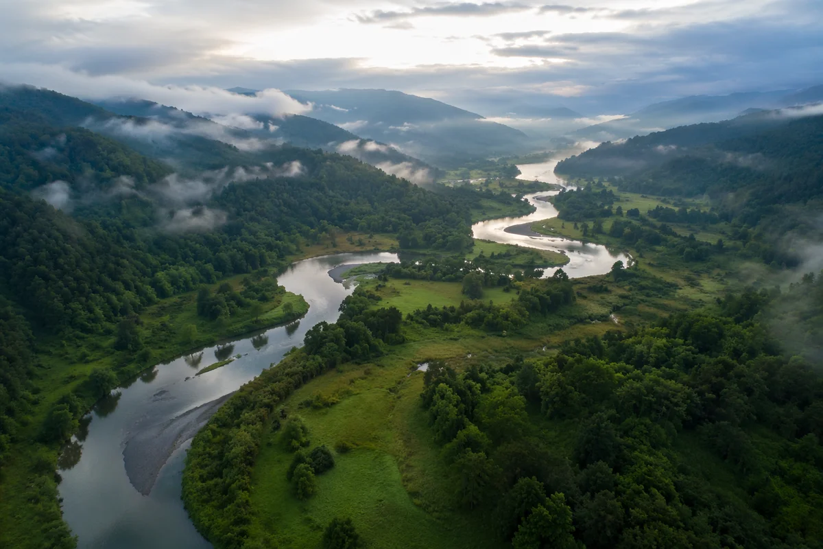 Winding River Through Misty Green Valley