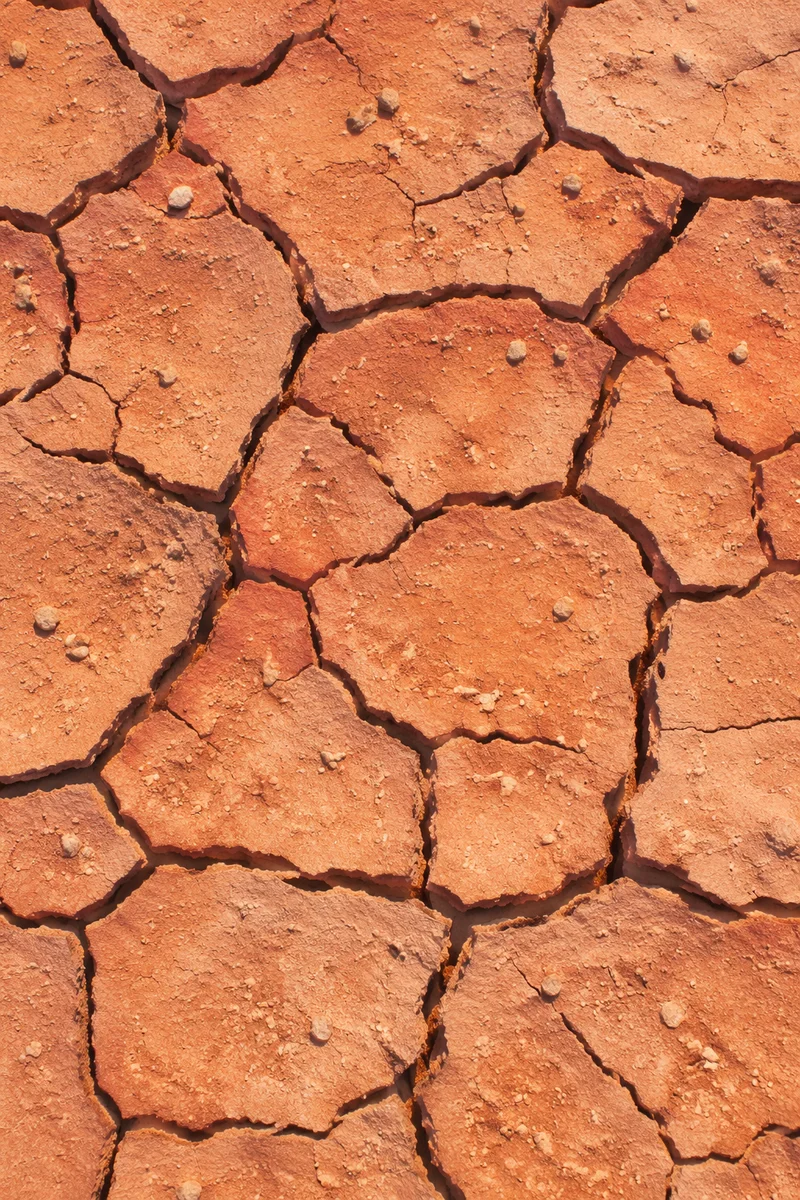 Cracked Desert Clay Texture Background
