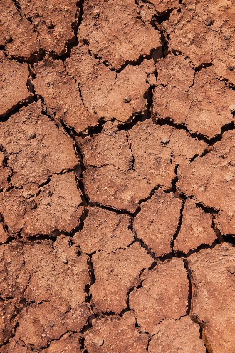 Parched Desert Clay with Deep Cracks