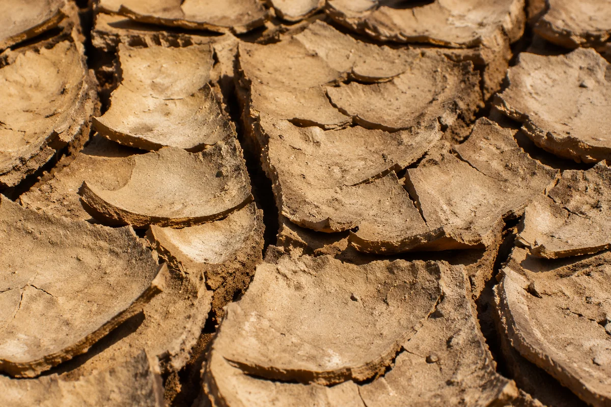Drought Cracked Desert Clay Texture