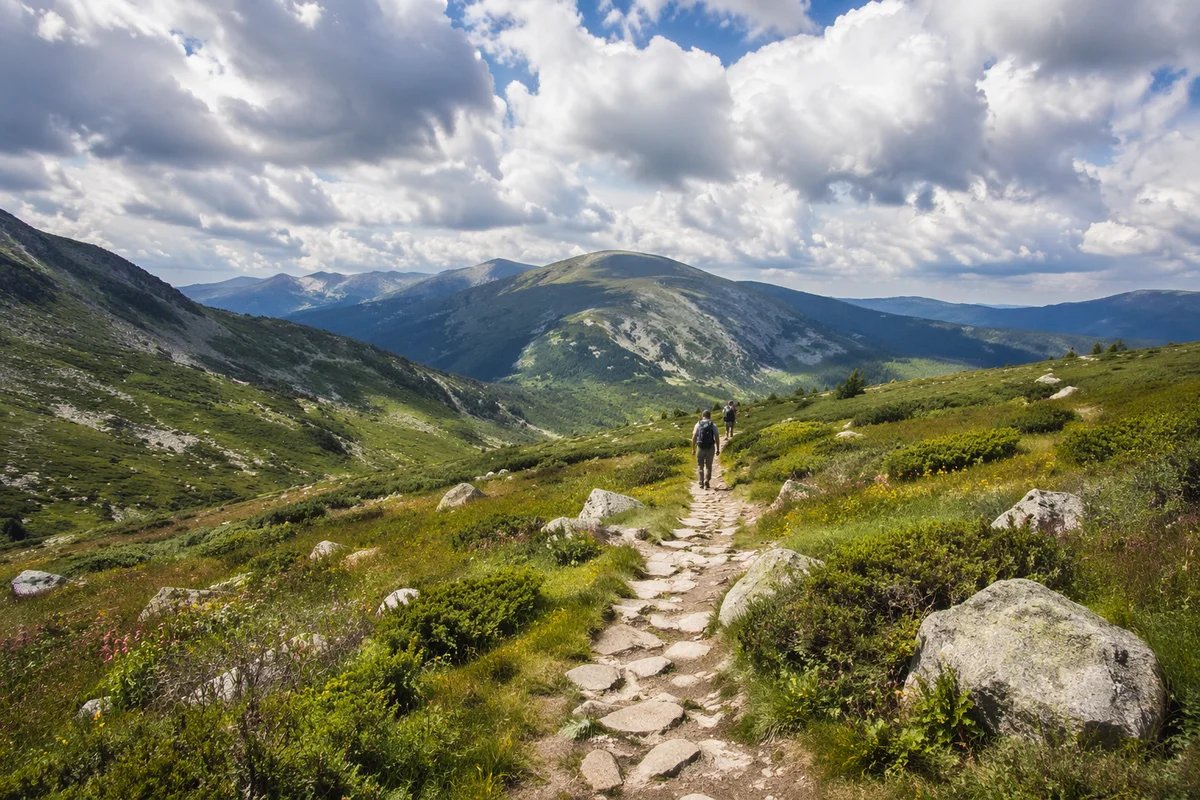 Alpine Meadow Path Toward Distant Mountains