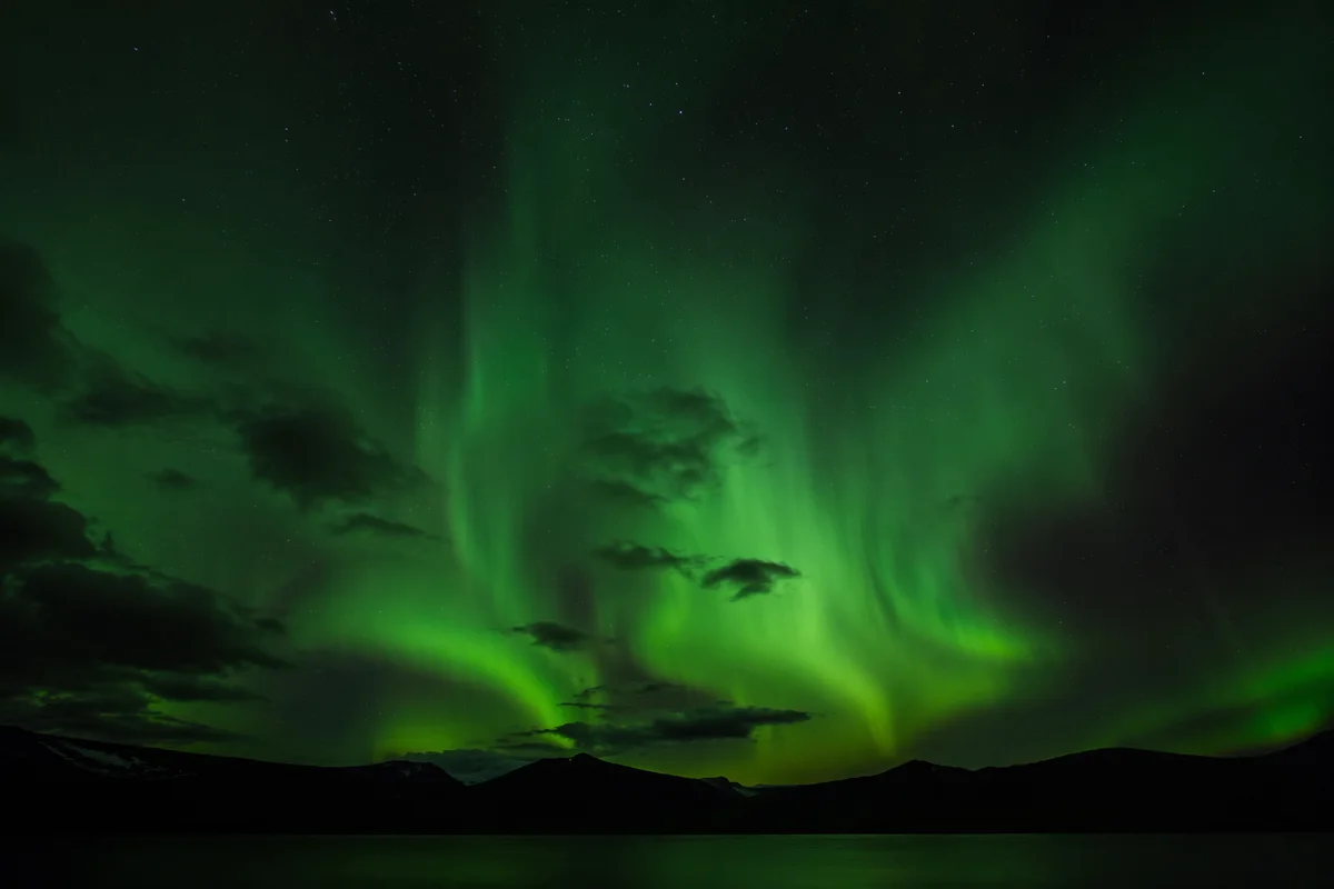 Green Aurora Borealis Over Northern Wilderness