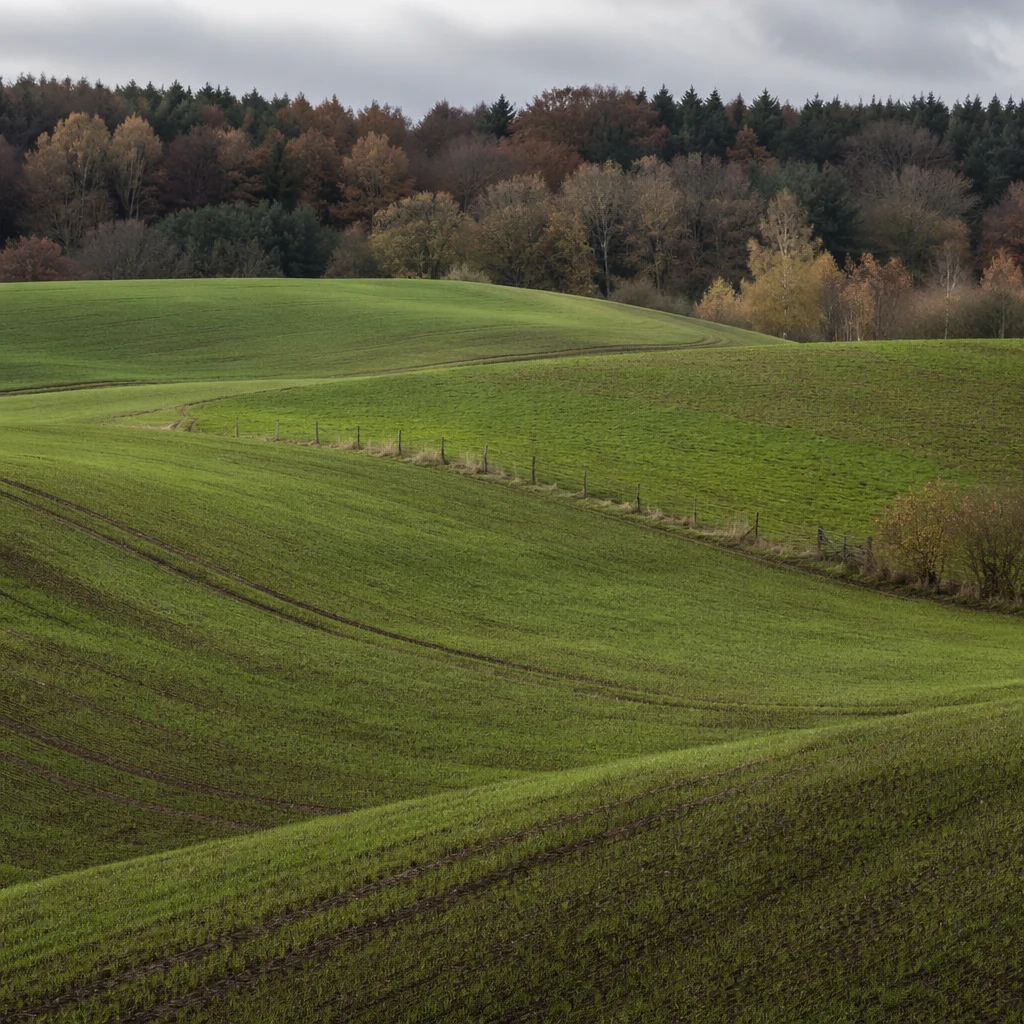 Rolling Green Hills with Rustic Fence