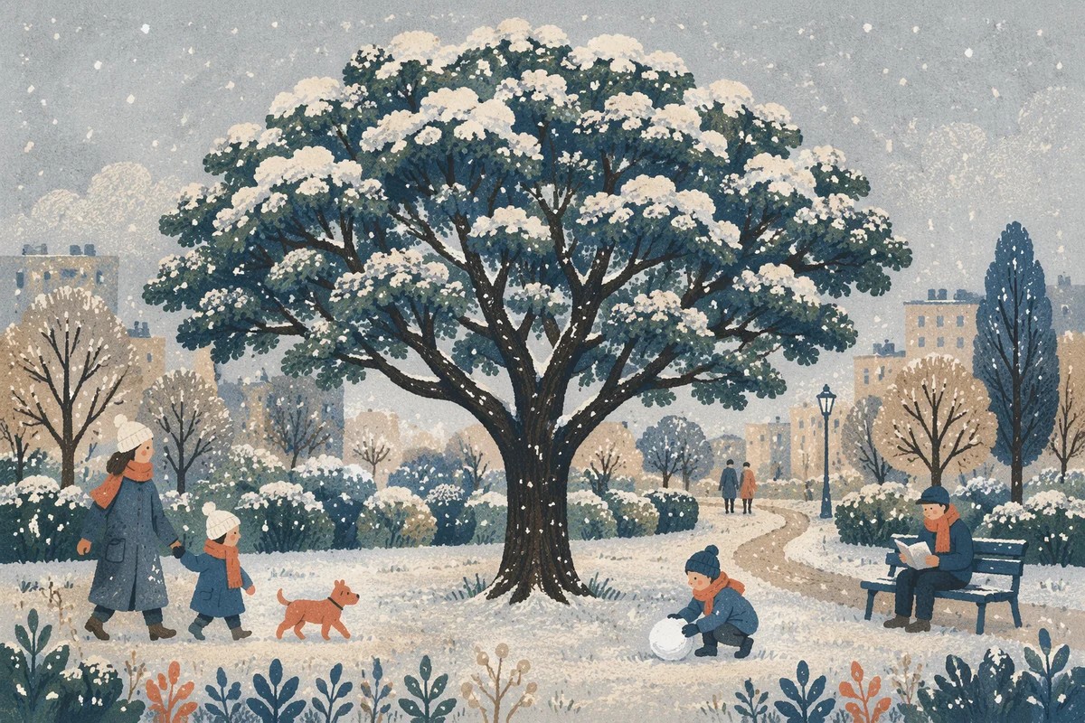 Peaceful Snowfall Over Winter Park Trees