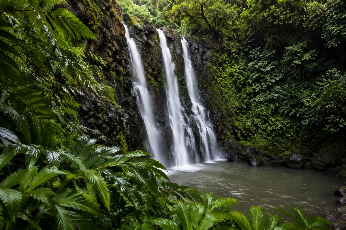Tropical Jungle Waterfall After Rain