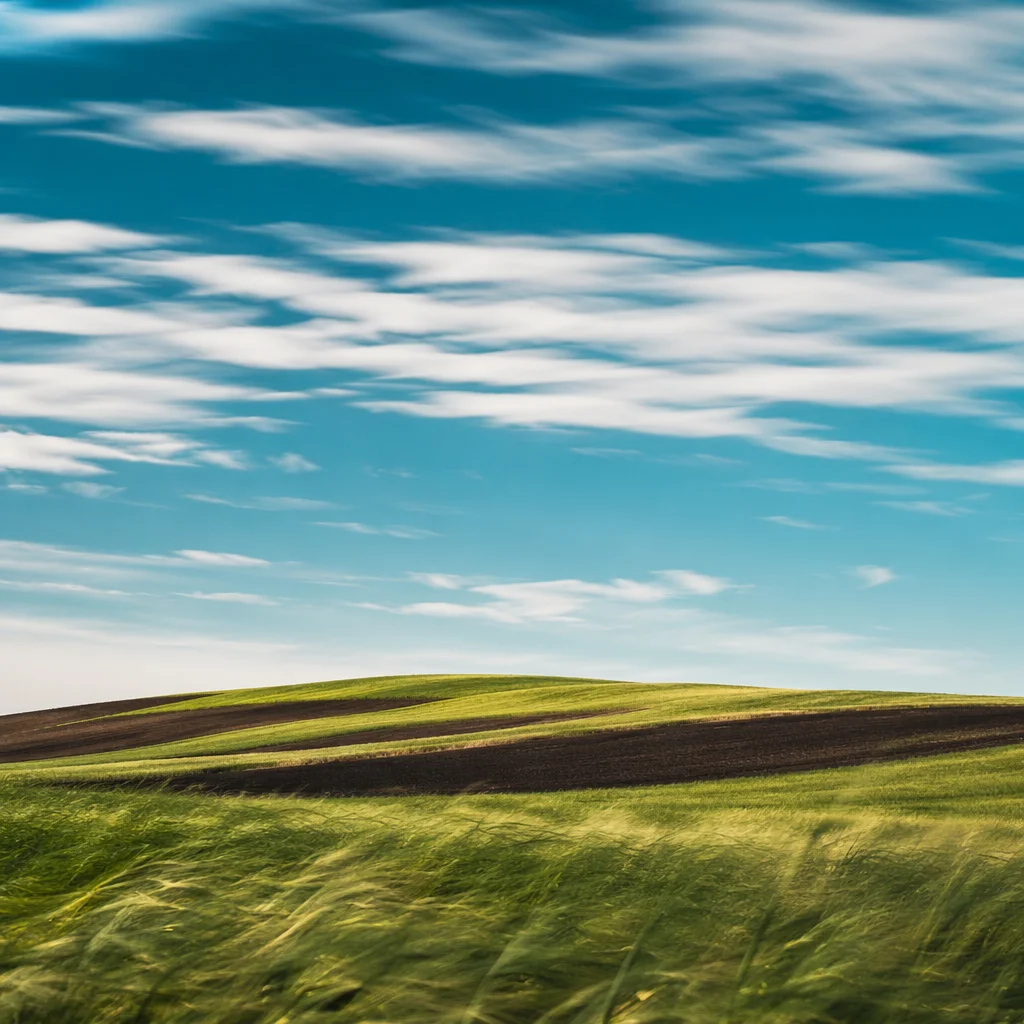 Windy Grass Field Beneath Racing Clouds
