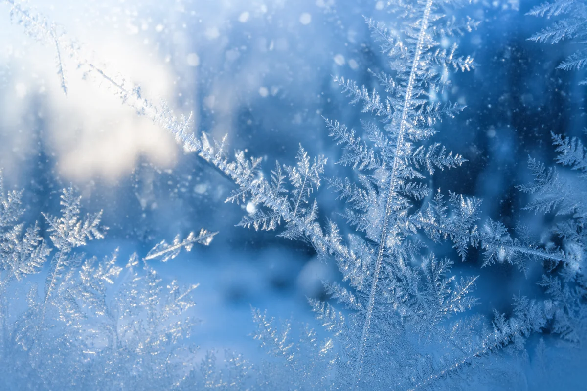 Delicate Frost Crystals on Winter Window