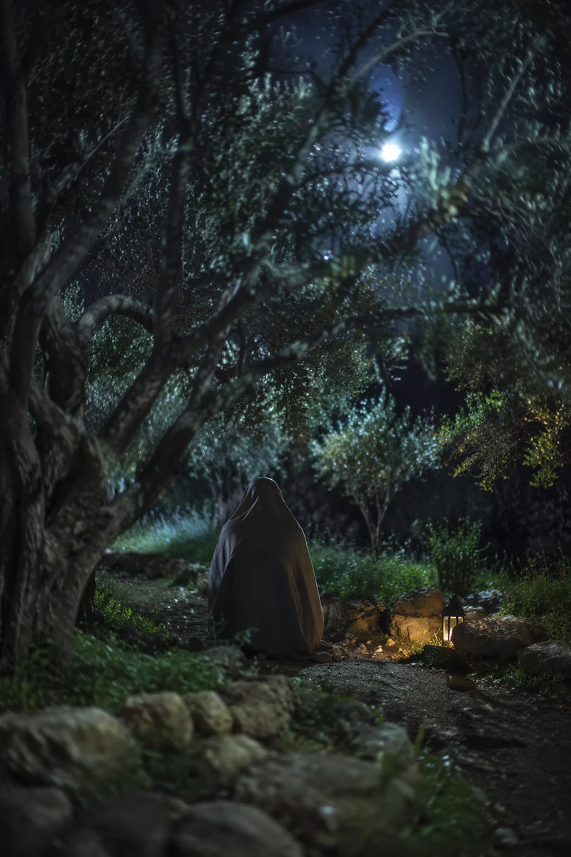 Gethsemane Olive Grove Night Vigil