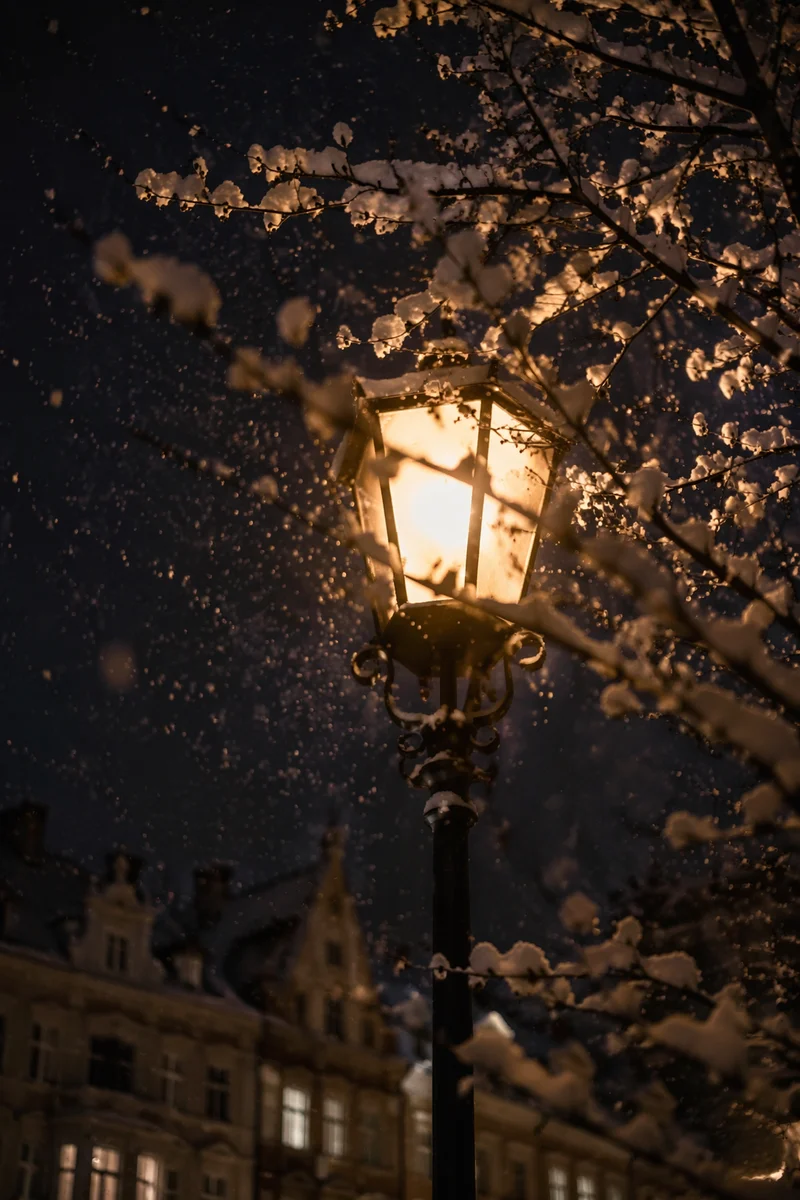 Peaceful Winter Streetlamp in Gentle Snowfall