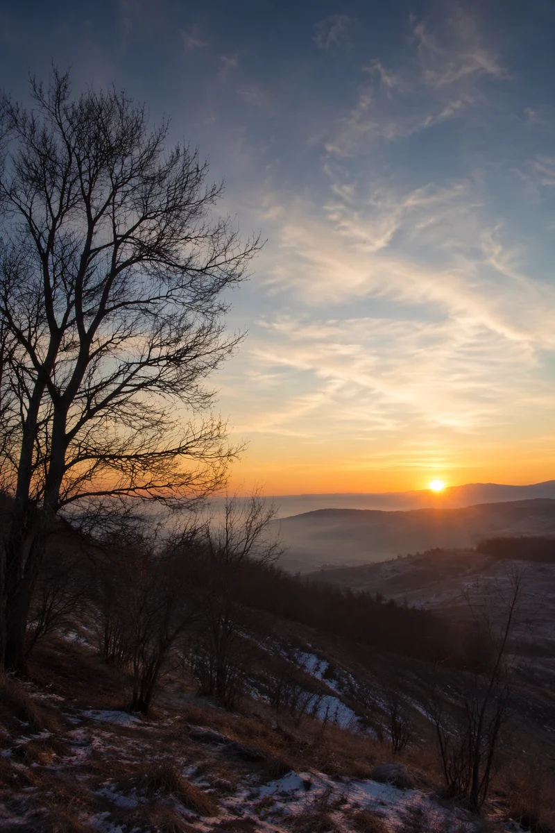 New Year Sunrise Over Winter Hillside