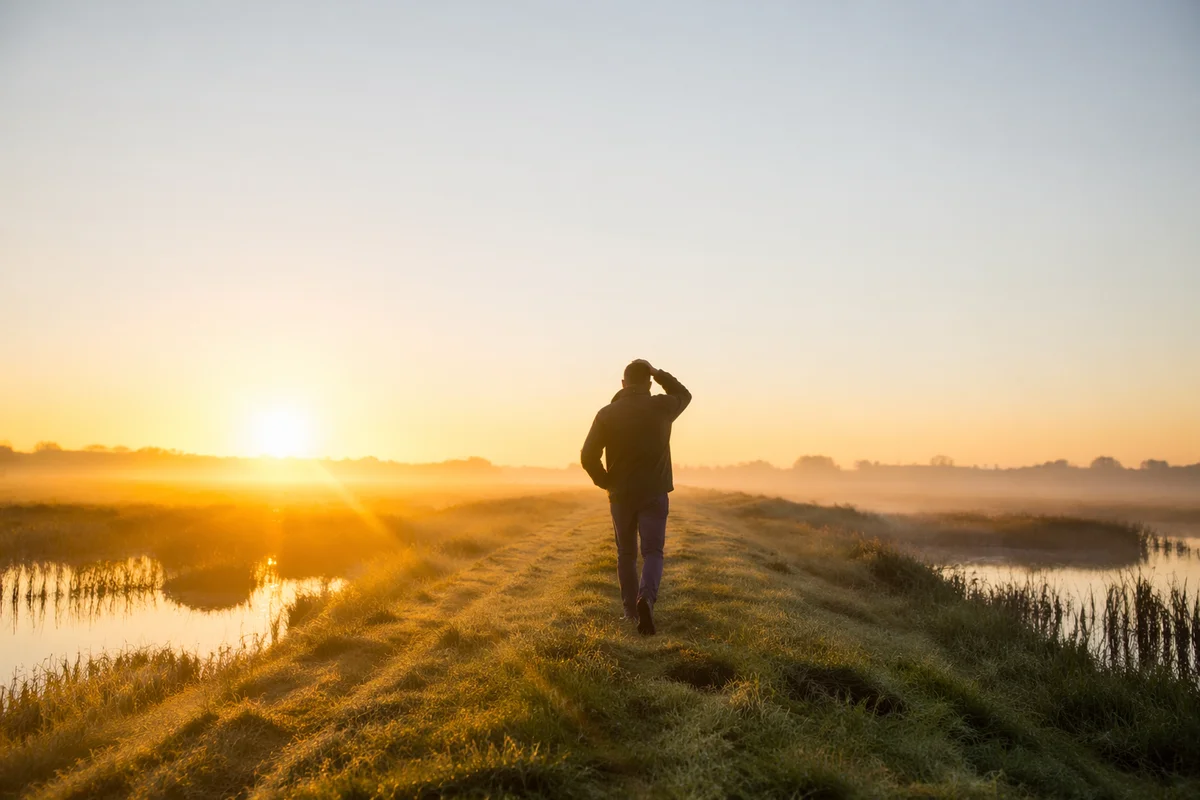 Hopeful New Year Sunrise on Wetland Ridge