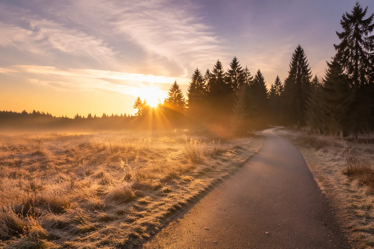 New Year Sunrise Over Frosted Meadow Path