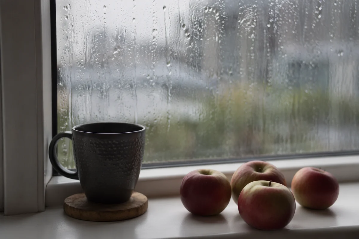 Cozy Rainy Day Windowsill with Mug