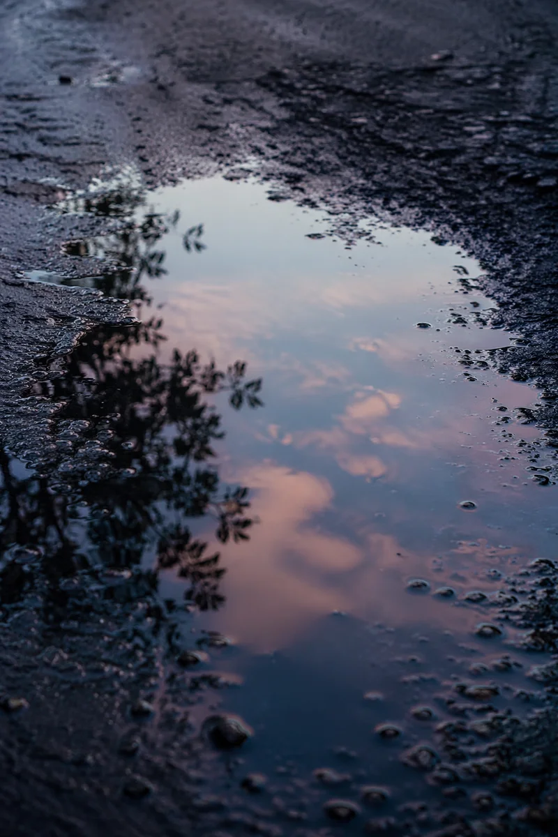 Spring Rain Puddle Reflecting Evening Sky