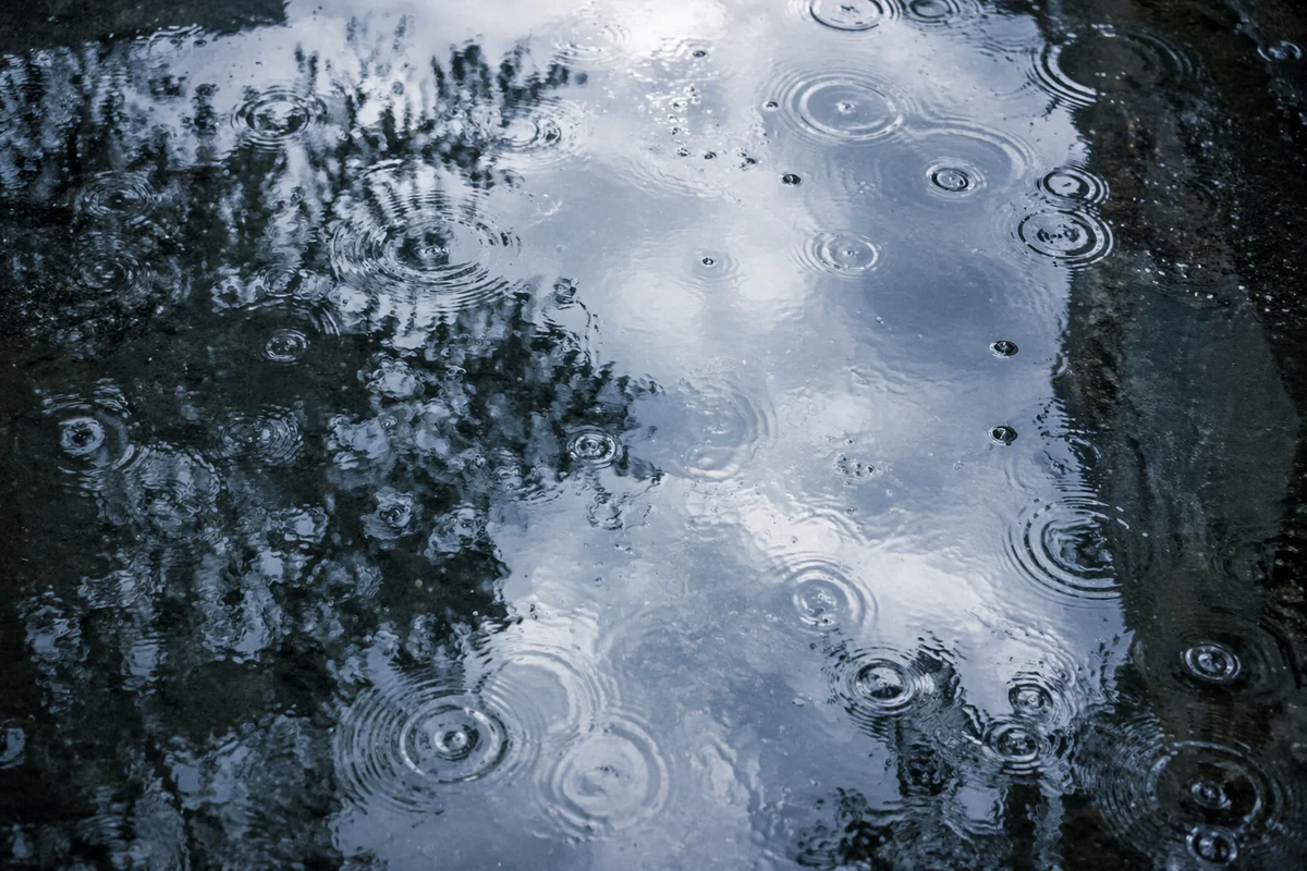 Spring Rain Puddle Sky Reflection