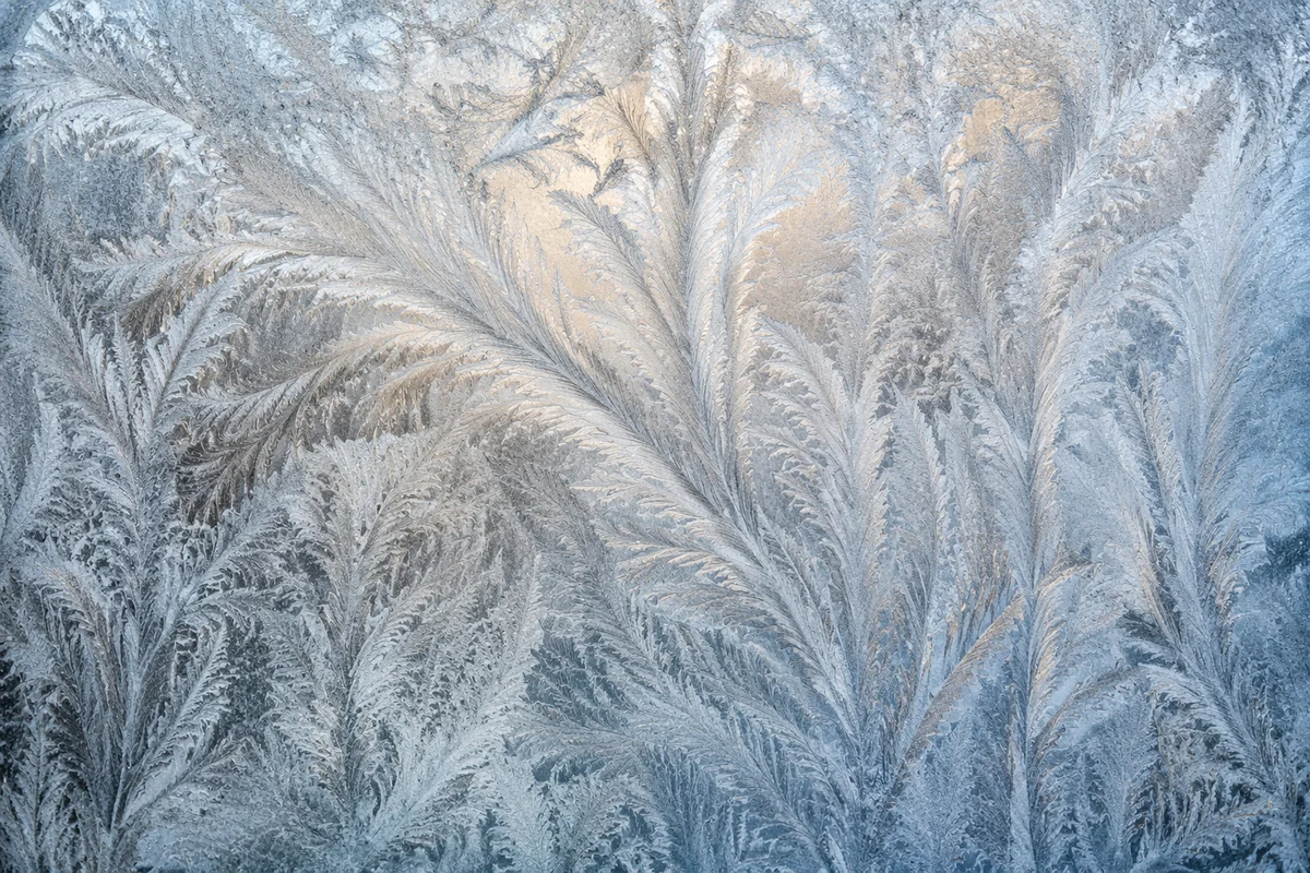 Delicate Ice Crystals on Frozen Window