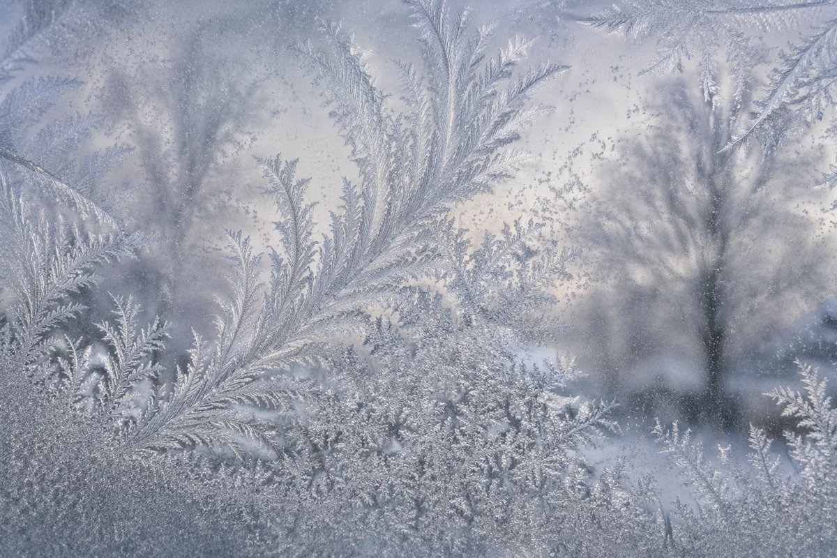 Intricate Frost Crystals on Winter Window