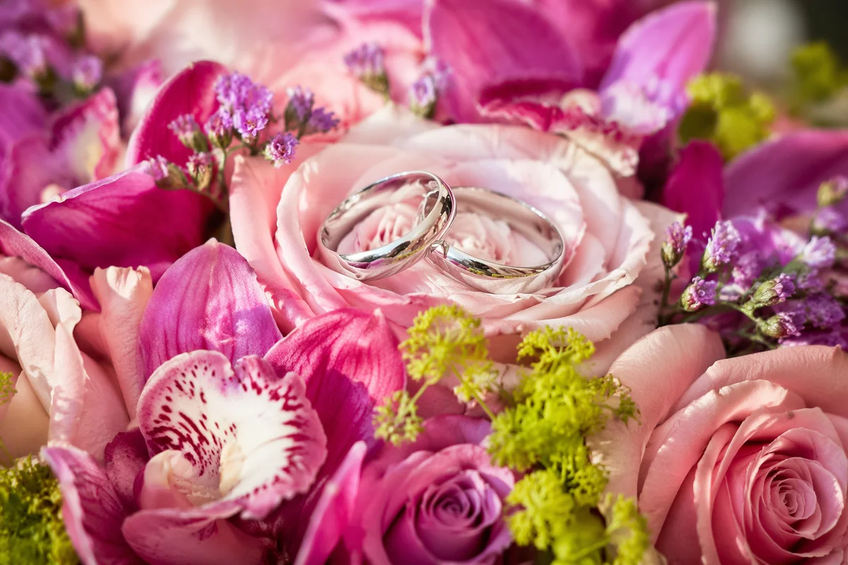Silver Wedding Rings on Rose Petals