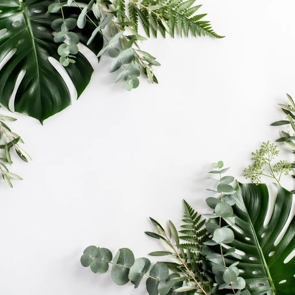 White Background with Botanical Leaf Border