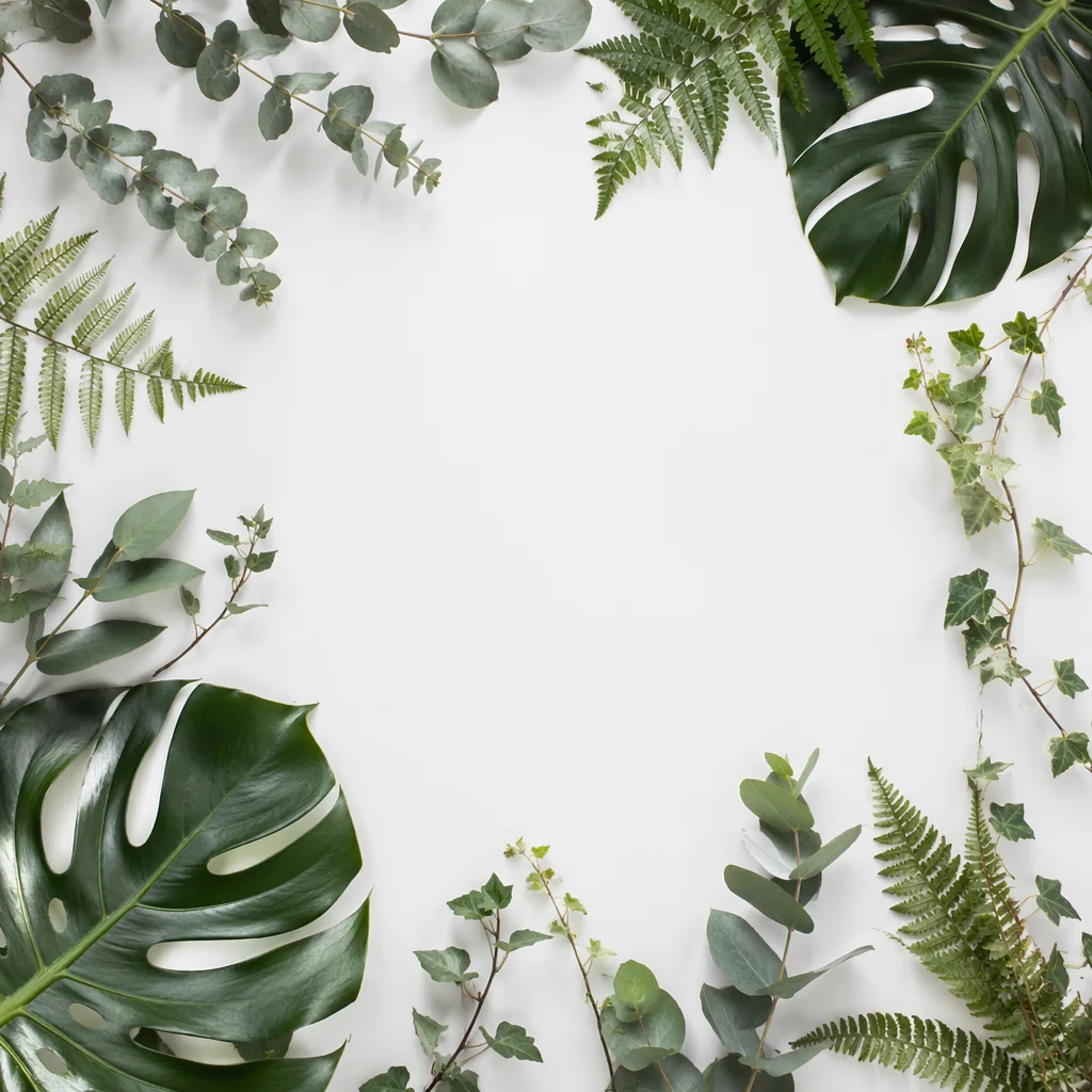 White Background with Botanical Leaf Border