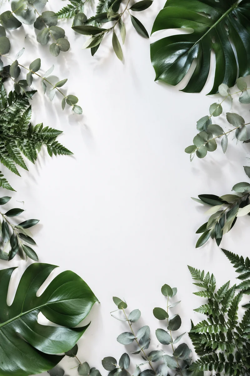 Botanical Leaf Border on White Background