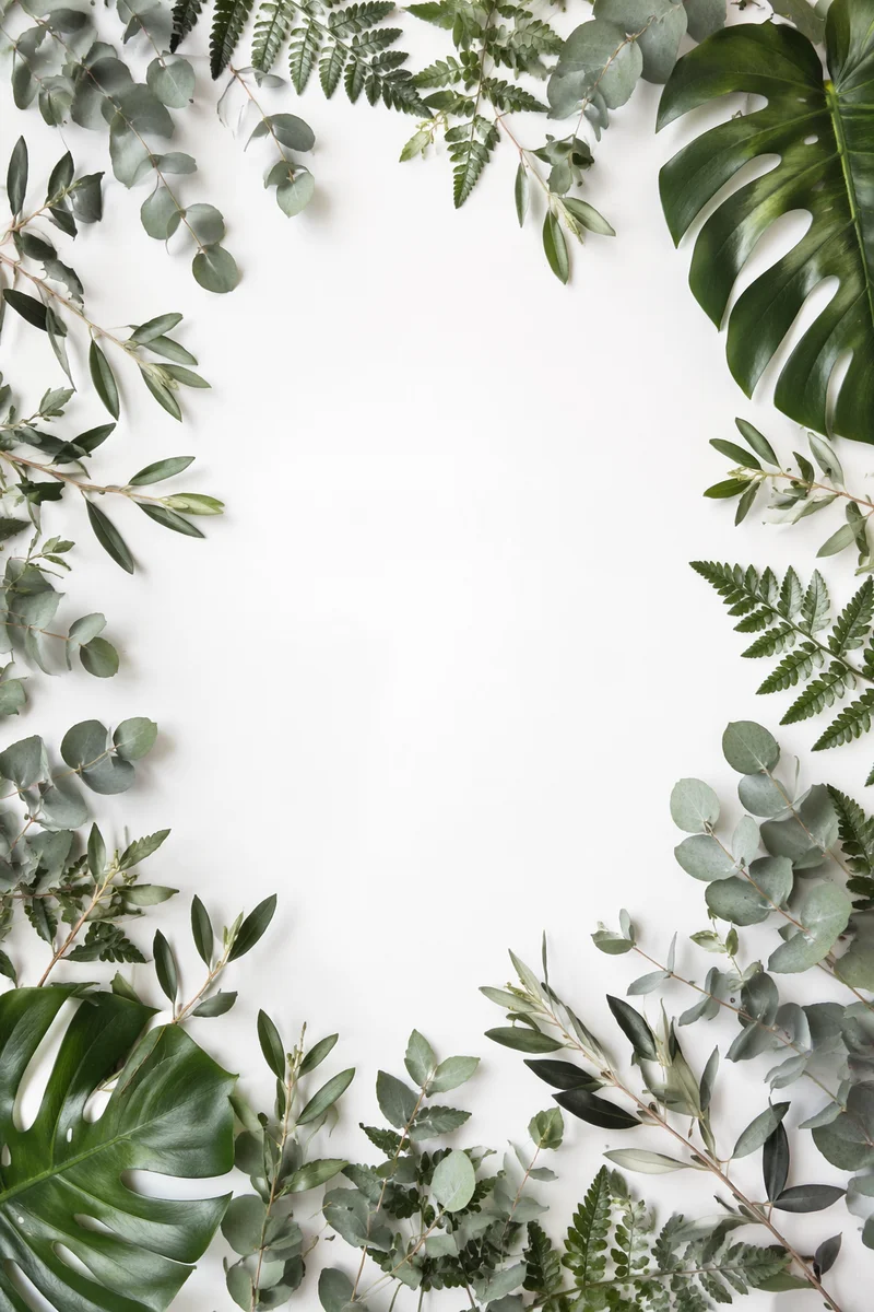 White Background with Botanical Leaf Border