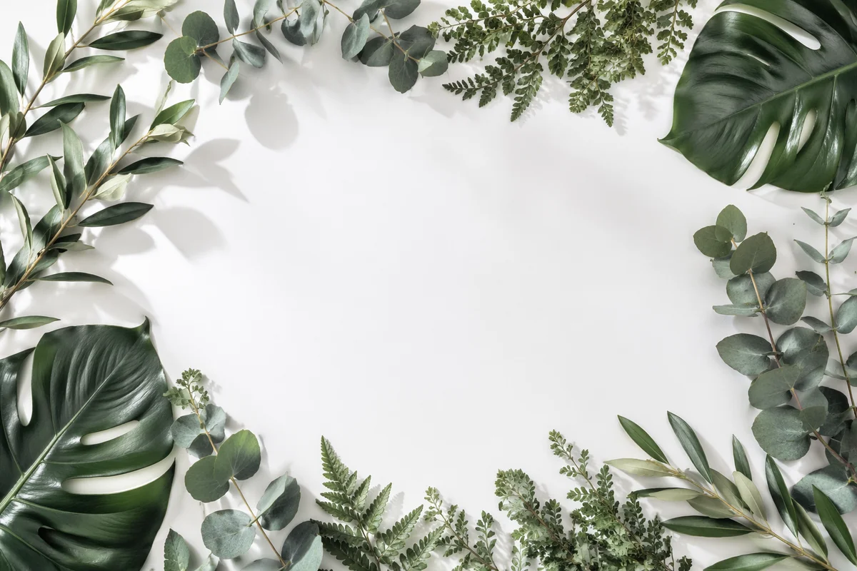 White Background with Botanical Leaf Border