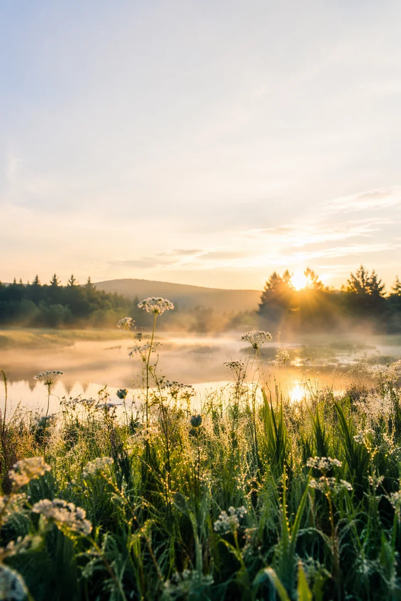 Peaceful Morning Blessing Lake Sunrise Scene
