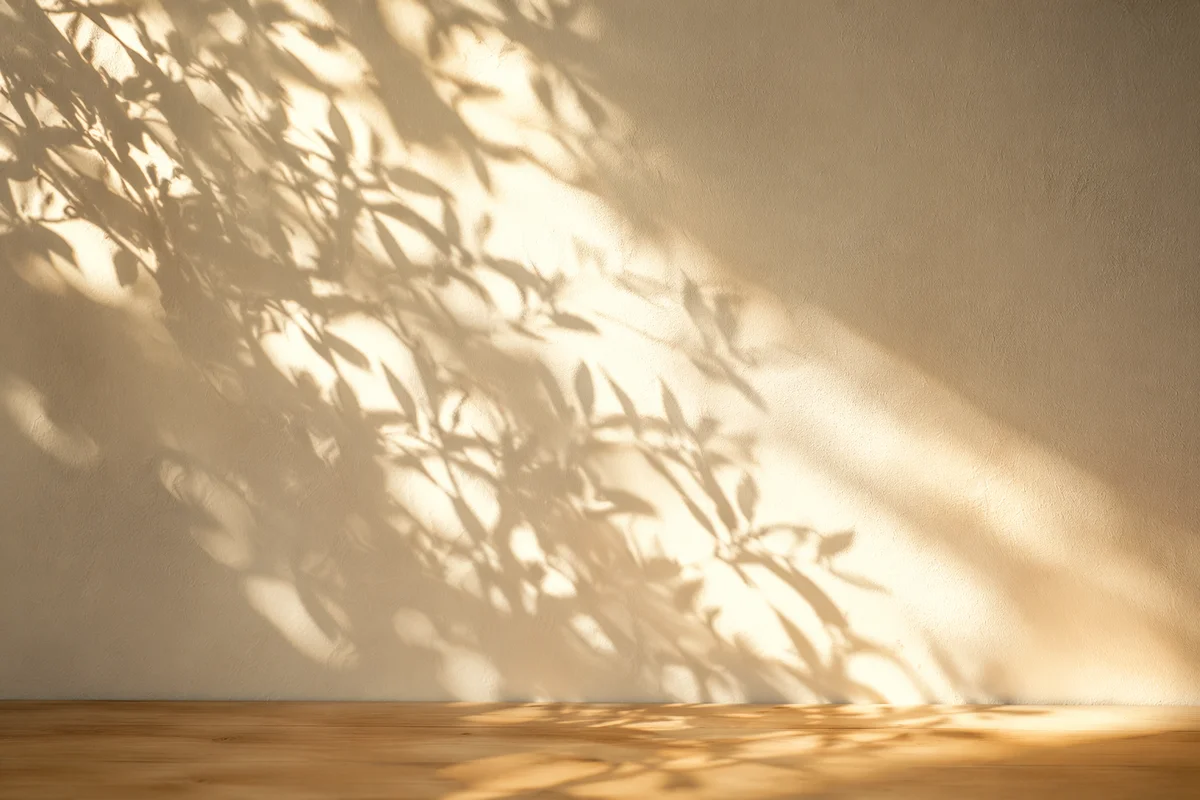 Minimal Plant Leaf Shadows on Ivory Wall