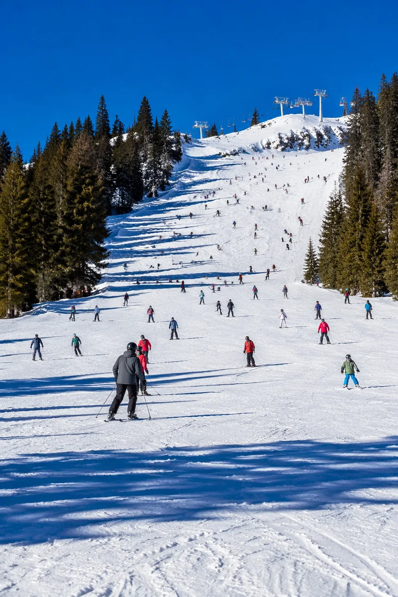 Busy Downhill Ski Slope in Winter