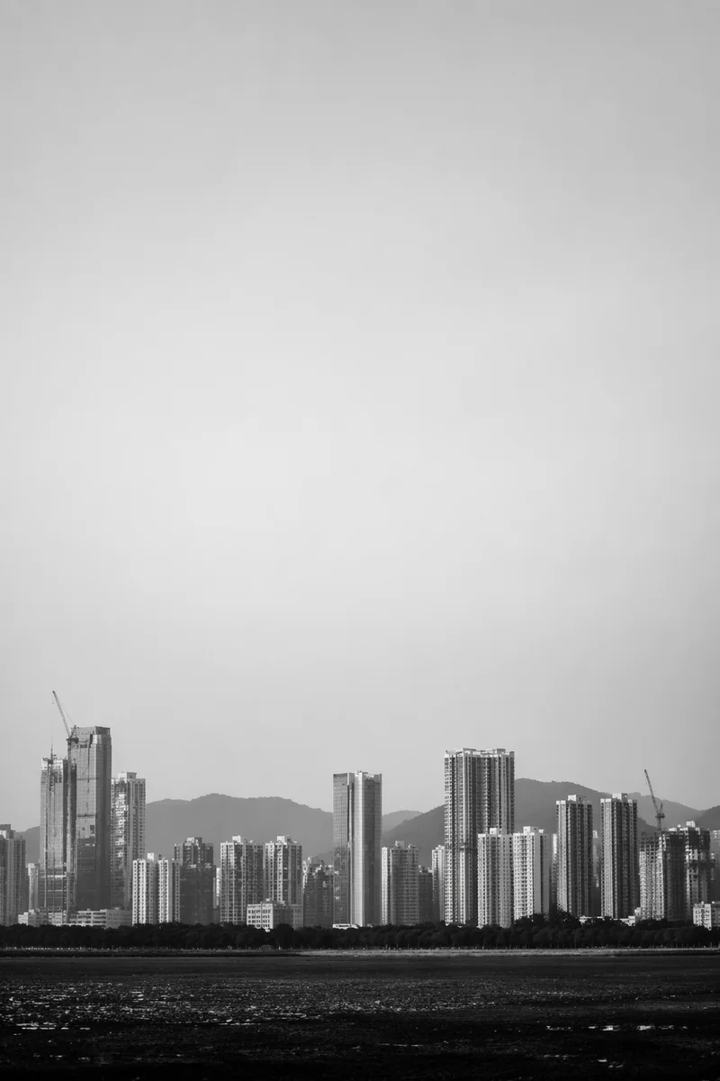 Monochrome Modern City Skyline Panorama