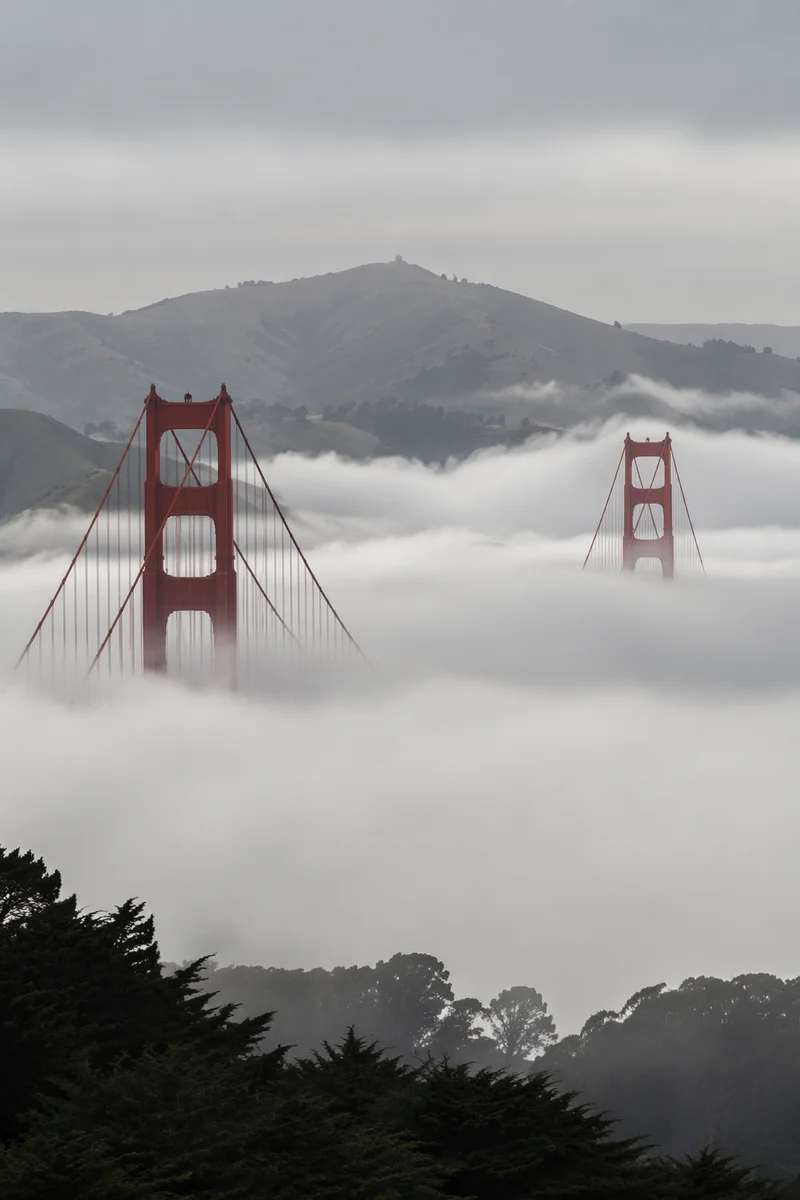 Suspension Bridge Rising Above Coastal Fog