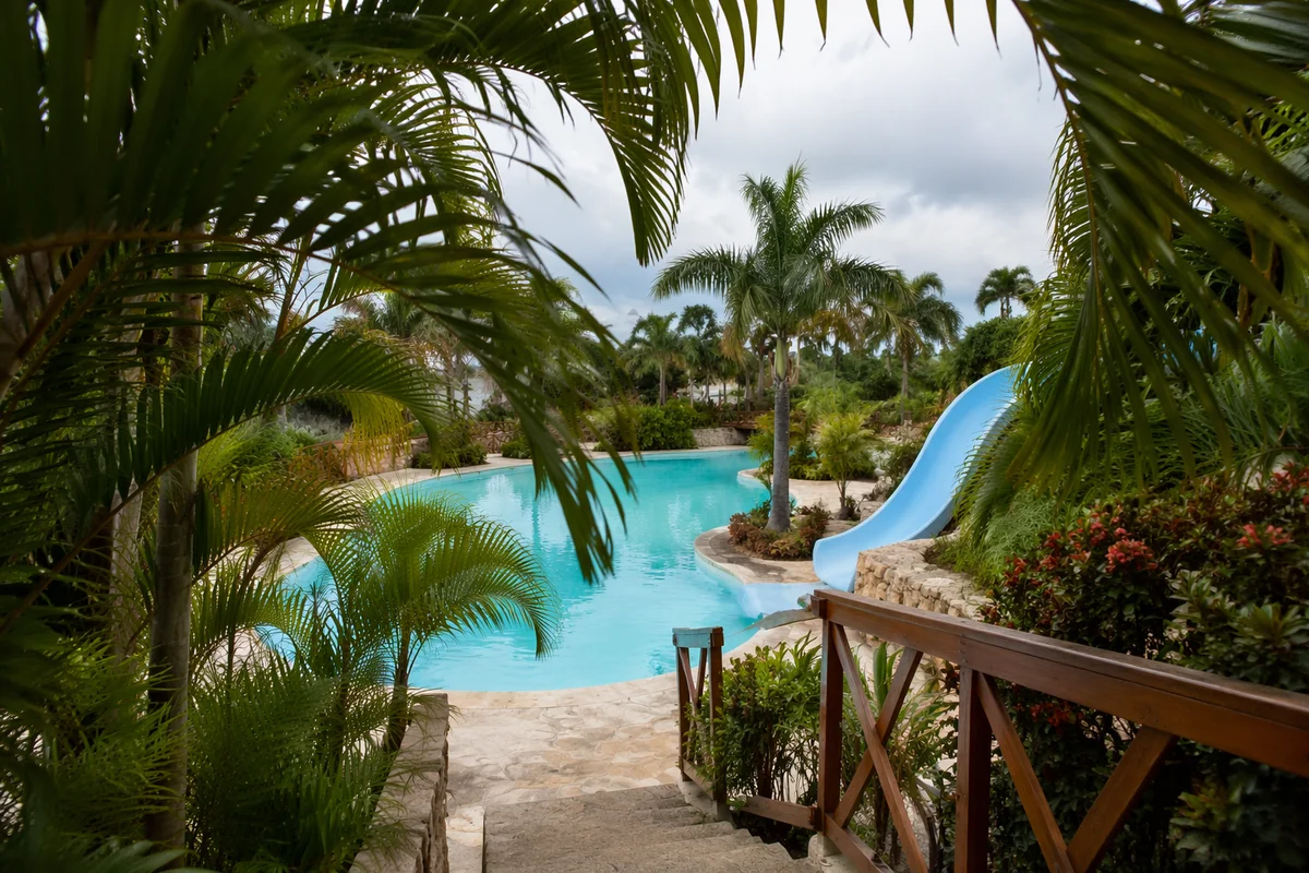 Tranquil Tropical Resort Pool Through Palm Fronds