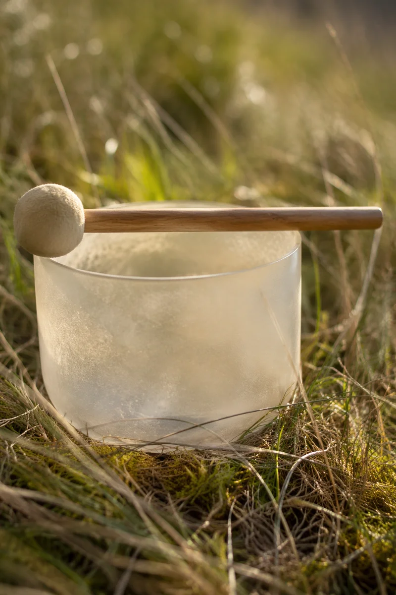 Crystal Singing Bowl in Peaceful Meadow