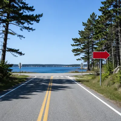 Red Arrow Sign at Coastal T-Junction