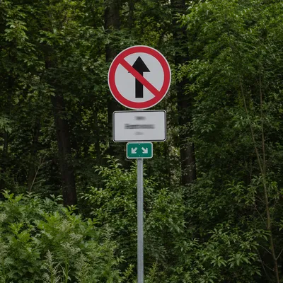 Red Blocked Arrow Sign in Woodland