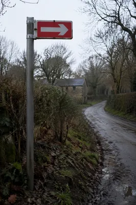 Red Arrow Sign on Rural Road